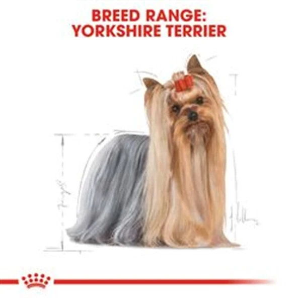 Royal Canin Yorkshire Terrier 1,5 kg Yetişkin Köpek Maması - 7