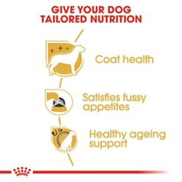 Royal Canin Yorkshire Terrier 1,5 kg Yetişkin Köpek Maması - 6