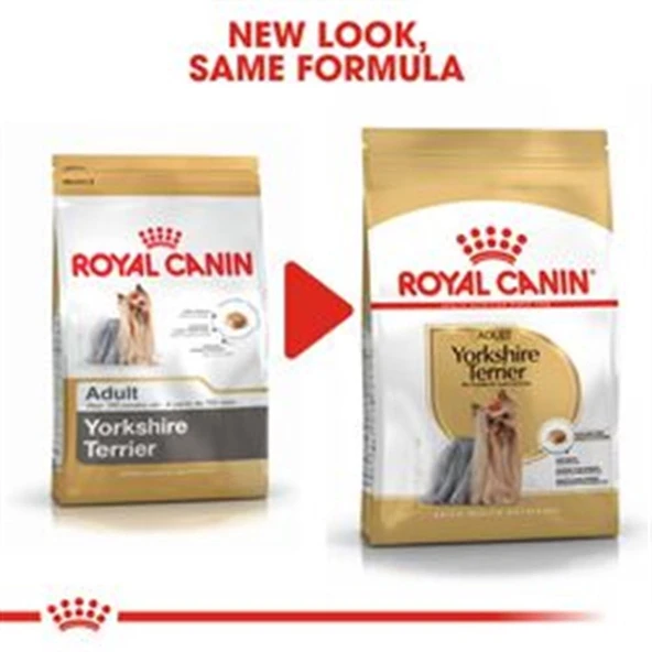 Royal Canin Yorkshire Terrier 1,5 kg Yetişkin Köpek Maması - 2