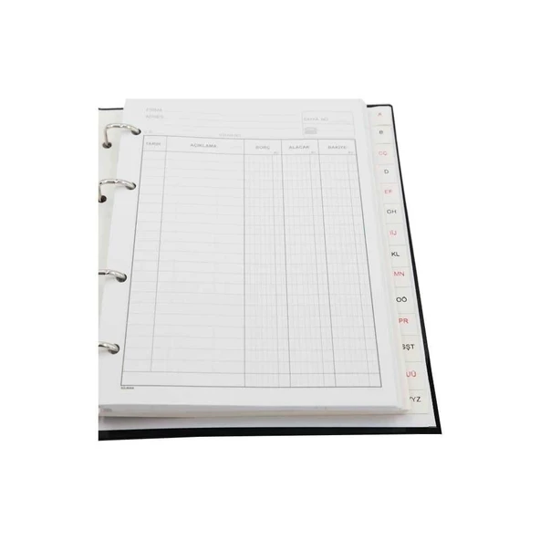 Dilman Cari Hesap Klasörü Yedeği A4 - 3