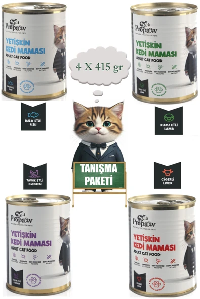 Kedi Yaş Mama Konserve Jöleli Premium Parça Etli Yemek Ciğerli / Tavuklu / Kuzulu / Balıklı 4'Lü Set