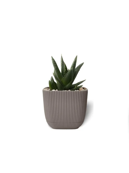 Omnipazar KRS-381 Dekoratif Plastik Mercan Kare Saksı 0.27 Litre No 1 - Resim 12