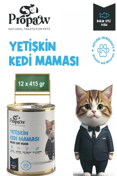 Kedi Yaş Mama Konserve Jöleli Premium Parça Etli Balıklı Yemek Besleyici Tahılsız İçerik 12 x 415 gr
