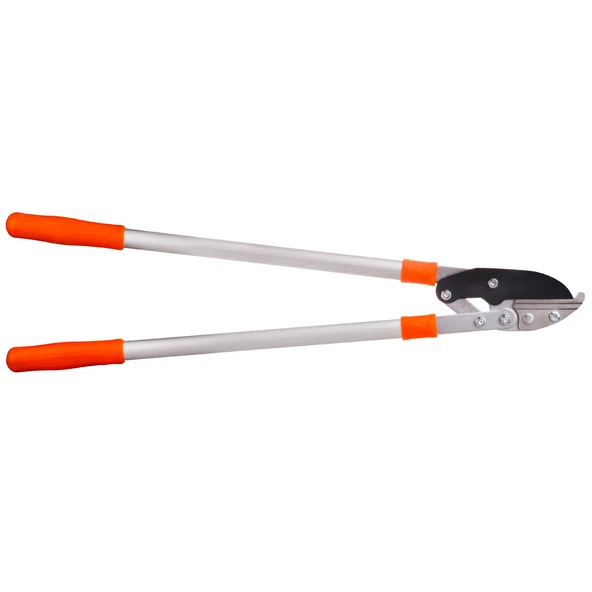 L45A KALIN DAL MAKASI ANVİL - 2