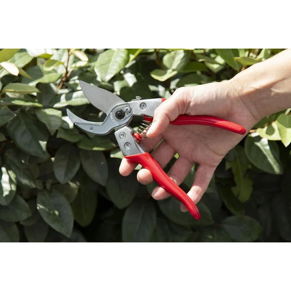 VA-8Z BUDAMA MAKASI 20cm ANVİL - 6