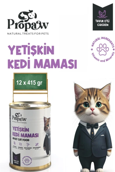 Kedi Yaş Mama Tavuklu Konserve Jöleli Premium Parça Etli Yemek Besleyici Tahılsız İçerik 12 x 415 gr