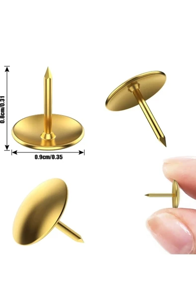 Kutulu Raptiye Toplam 160 Adet - Resim 3
