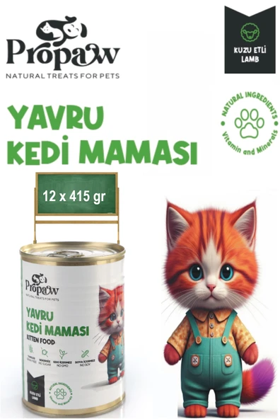 Yavru Kedi Yaş Mama Kuzu Konserve Jöleli Premium Parça Etli Besleyici Tahılsız İçerik 12 x 415 gr