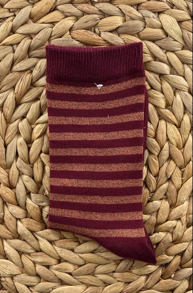 Kadın Simli Yan Şeritli Soket Çorabı 4 Çift Saradonna - 2