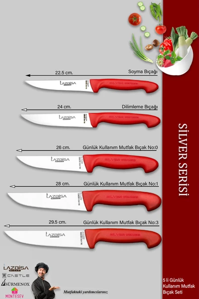 Lazbisa Silver Serisi Mutfak Bıçak Seti Et Ekmek Sebze Bıçağı 5 Li Set Günlük Kullanım ( Mtf-203) - 2