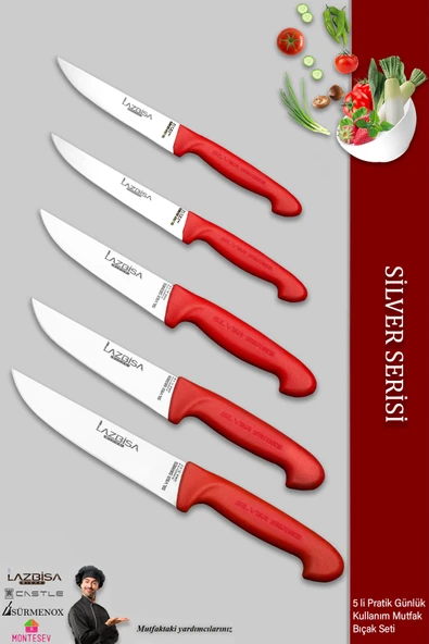 Lazbisa Silver Serisi Mutfak Bıçak Seti Et Ekmek Sebze Bıçağı 5 Li Set Günlük Kullanım ( Mtf-203)