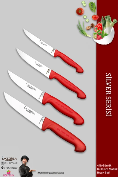 Lazbisa Silver Serisi Mutfak Bıçak Seti Et Ekmek Sebze Bıçağı 4 Lü Set Günlük Kullanım ( Mtf-205)