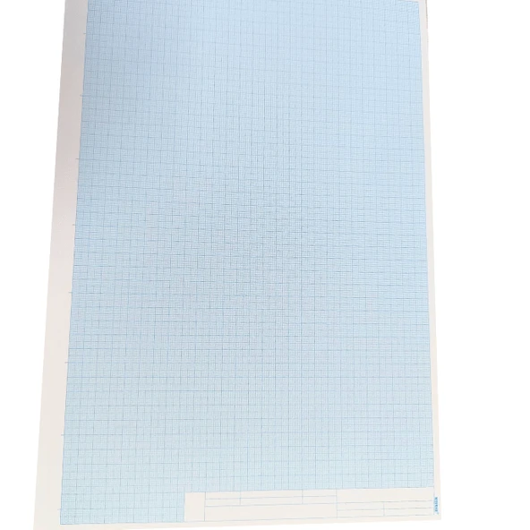 Bayındır Milimetrik Bloknot Teknik Resim 36 YP A3 Mavi - 2