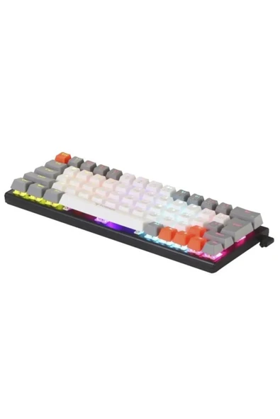 Sarftech Siyah RGB Full Mekanik %60 Blue Switch Gaming Klavye RGB Işıklı Kablolu Q Klavye - 2