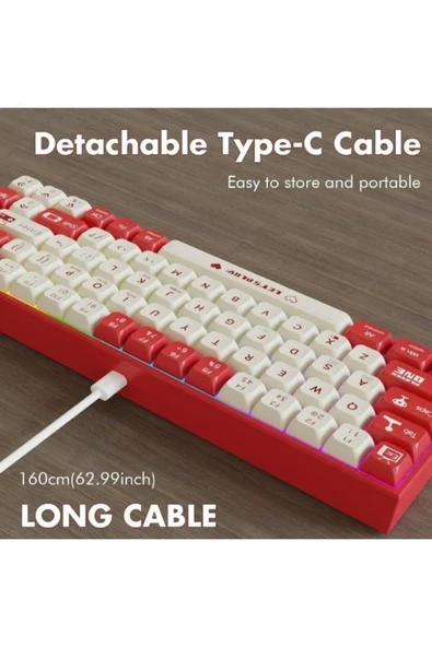 Sarftech AK680 Kablolu Red Switch Mekanik Klavye-Rainbow Aydınlatma Hot-Swap - 4