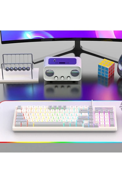 Sarftech KM-800 Grey Reinbow Aydınlatmalı Gaming Oyuncu Klavye Mouse Set - 5