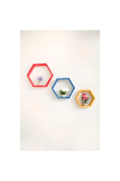 Antalya Kent ekipmanları 3'lü Ahşap Renkli Beşgen Dekorasyon Raf