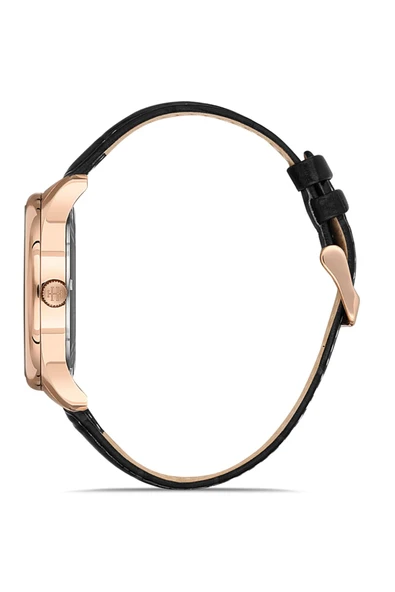 Cl113r-05br Erkek Kol Saati - Resim 2