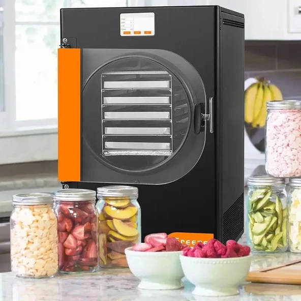 Dalle DFD-06 Yüksek Teknolojili Freeze Dryer Dondurarak Kurutma Fırını - 2