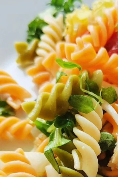 GRD ORGANİK ÇEŞNİLİ BURGU MAKARNA 400g - 5