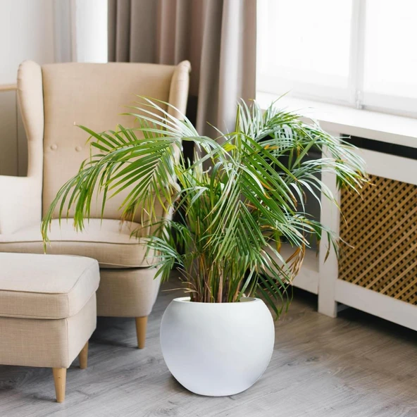 Nettenevime Küre Yuvarlak Top Vazo Dekoratif Saksı BEYAZ 38*30cm - 7