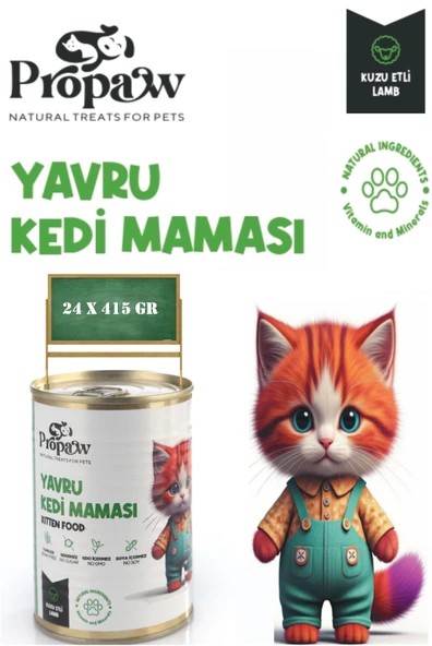 Yavru Kedi Yaş Mama Kuzu Konserve Jöleli Premium Parça Etli Besleyici Tahılsız İçerik 24 x 415 gr