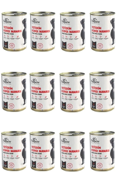 Köpek Yaş Mama Sığır Parça Etli Konserve Jöleli Premium Besleyici Yemek Tahılsız İçerik 12 x 415 gr - 2