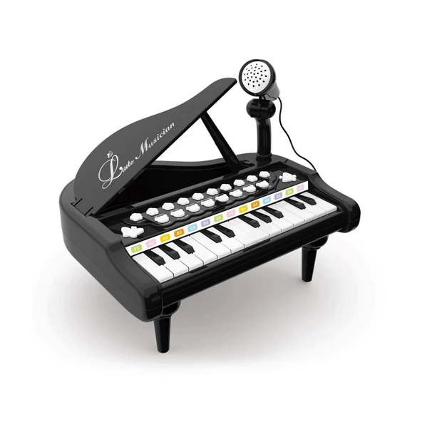 BAO-1505A Mikrofonlu Mini Piano 24 Tuş MP3 Çalar - 5