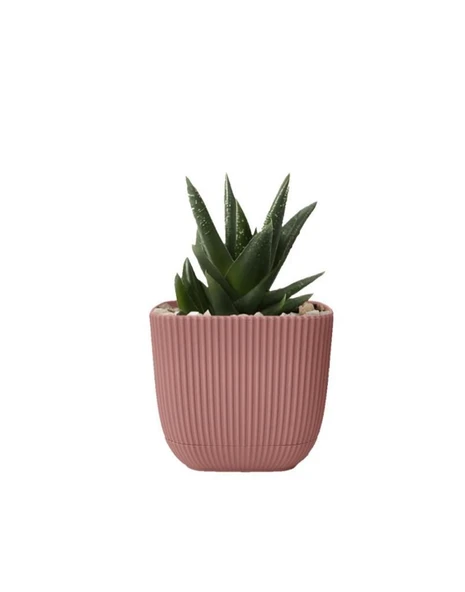 Omnipazar KRS-384 Dekoratif Plastik Mercan Kare Saksı 4 Litre No 4 - Resim 2