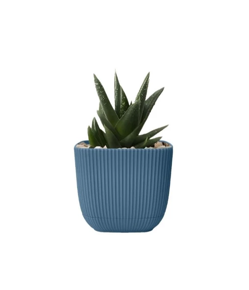 Omnipazar KRS-384 Dekoratif Plastik Mercan Kare Saksı 4 Litre No 4 - Resim 12