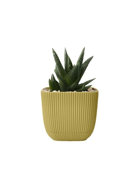 Omnipazar KRS-384 Dekoratif Plastik Mercan Kare Saksı 4 Litre No 4 - Resim 7