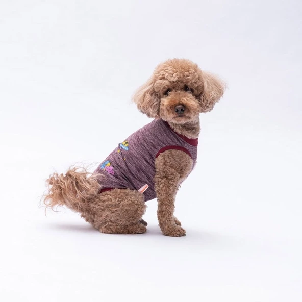 PawStar Bordo Space Time T-Shirt Küçük Irk - Resim 2