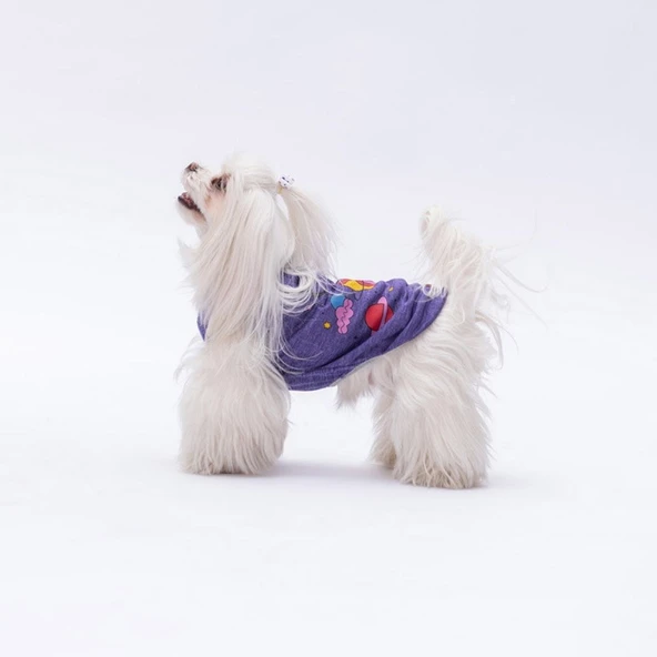 PawStar Mor Space Time T-Shirt Küçük Irk