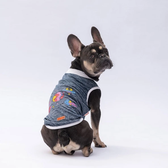 PawStar Lacivert Space Time T-Shirt Küçük Irk ürün görseli