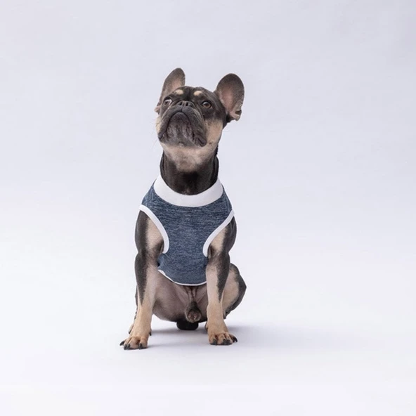 PawStar Lacivert Space Time T-Shirt Küçük Irk - Resim 2