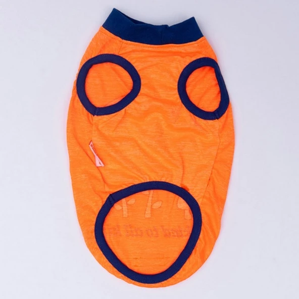 PawStar Neon Turuncu Be Kind T-Shirt Küçük Irk - Resim 5