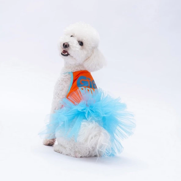 PawStar Turuncu Girl Power Elbise