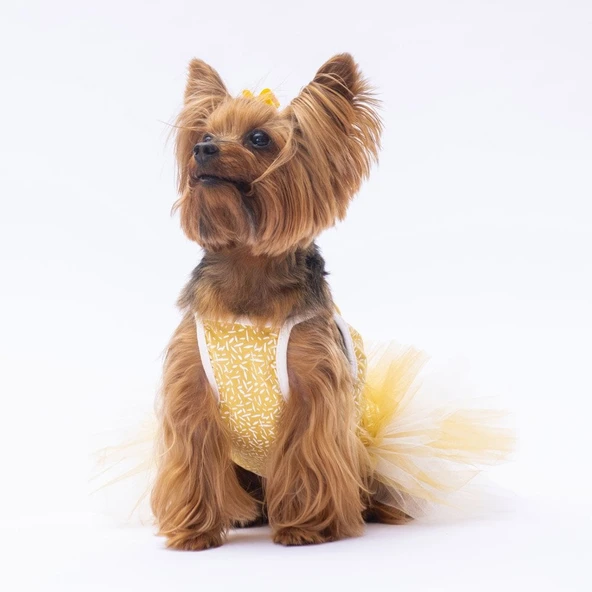 PawStar Sarı Polka-Dot Elbise - 3