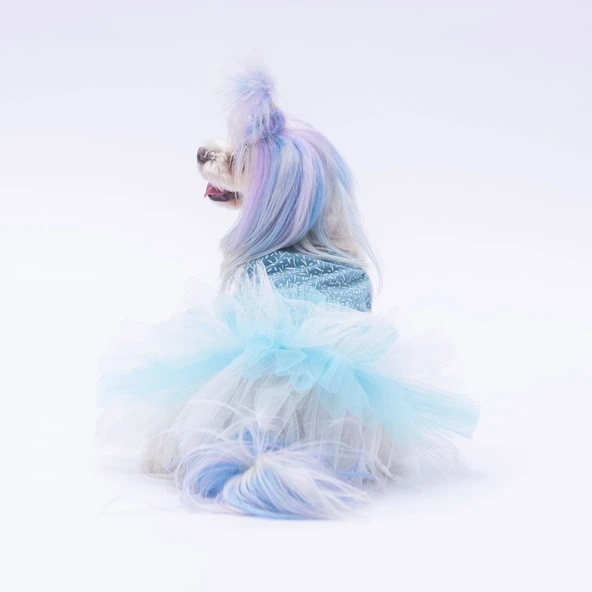 PawStar  Mavi Polka-Dot Elbise - 3