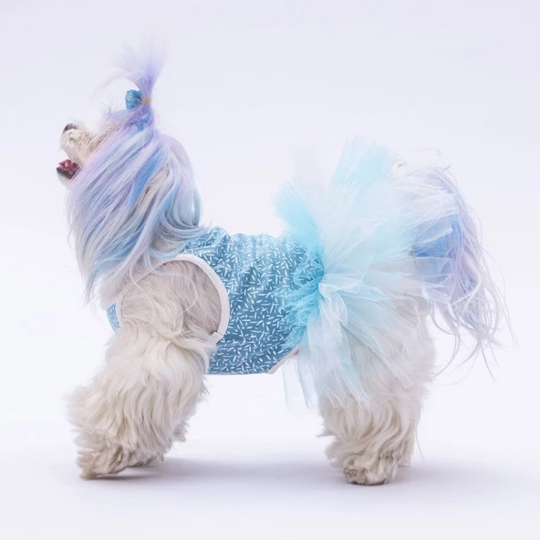 PawStar  Mavi Polka-Dot Elbise - 2