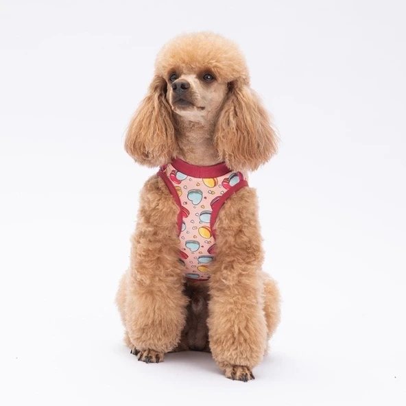 PawStar Macarons T-Shirt Küçük Irk - 2