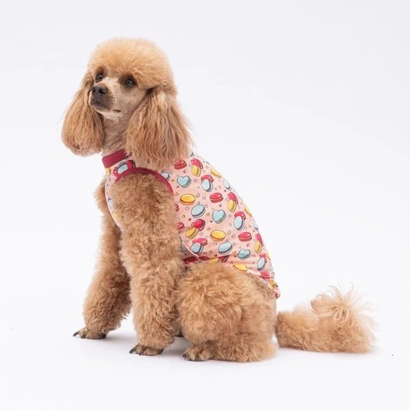 PawStar Macarons T-Shirt Küçük Irk - 3