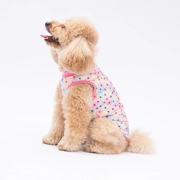 PawStar Spring Flowers T-Shirt Küçük Irk - 2