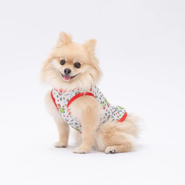 PawStar Cactus T-Shirt Küçük Irk - 2