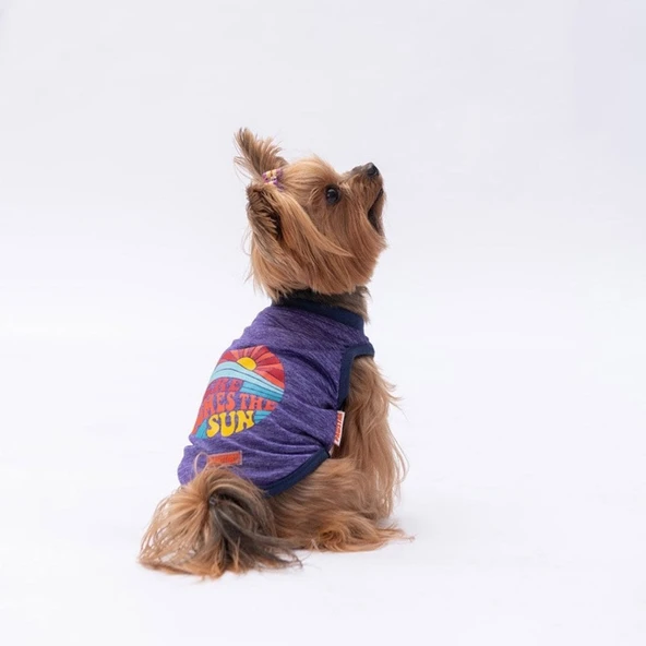 PawStar Mor The Sun T-Shirt Küçük Irk ürün görseli