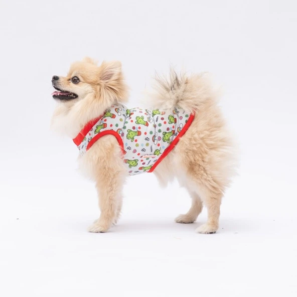 PawStar Cactus T-Shirt Küçük Irk