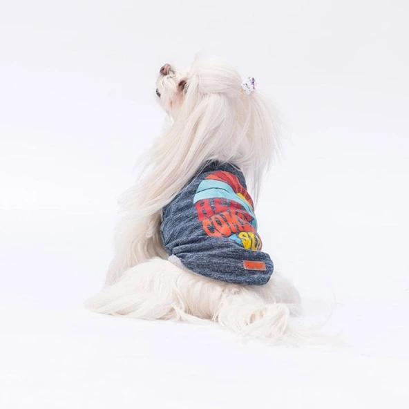 PawStar Lacivert The Sun T-Shirt Küçük Irk