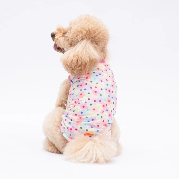 PawStar Spring Flowers T-Shirt Küçük Irk