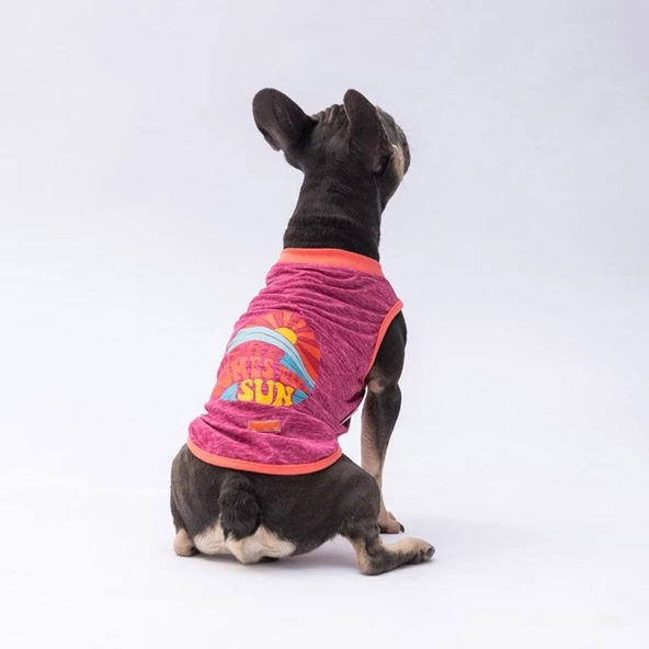 PawStar Vişnerengi  The Sun T-Shirt Küçük Irk