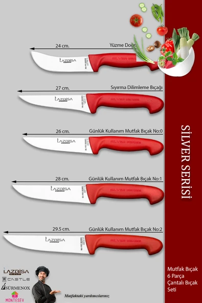 Lazbisa Silver Serisi Çantalı 5 Li Mutfak Bıçak Seti Gastronomi Mutfak Bıçak Seti ( Mft-254) - Resim 3